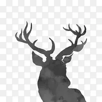 ʥ������¹��Ӱ-������