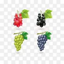 几何水果-空若网 几何水果-空若网