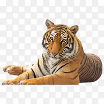 ſ�ŵ��ϻ�-������