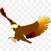 张开翅膀的老鹰-空若网 张开翅膀的老鹰-空若网