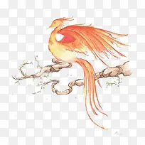 树枝上的凤凰-空若网 树枝上的凤凰-空若网