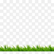 ��ɫ�Ĳ�-������