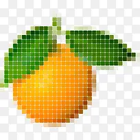 马赛克柑橘-空若网 马赛克柑橘-空若网