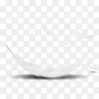 白色轻柔羽毛-空若网 白色轻柔羽毛-空若网