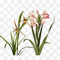 �ۺ�������-������