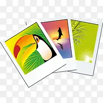 ��Ƭpngʸ���ز�-������