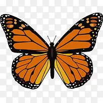 橙色斑点矢量珍稀蝴蝶-空若网 橙色斑点矢量珍稀蝴蝶-空若网