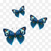 �ߵ����ʸ��ͼ-������