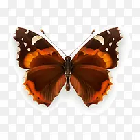 ����-������