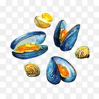 手绘贝壳元素-空若网 手绘贝壳元素-空若网