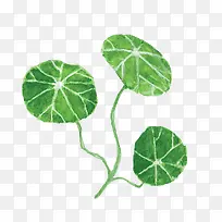 卡通手绘荷花叶-空若网 卡通手绘荷花叶-空若网