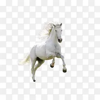 ����������ͼ�ز�-������