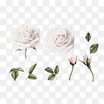 ��ɫ�ʻ�����-������