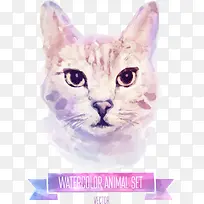 矢量彩绘小猫-空若网 矢量彩绘小猫-空若网