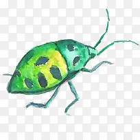 爬行绿色的昆虫-空若网 爬行绿色的昆虫-空若网