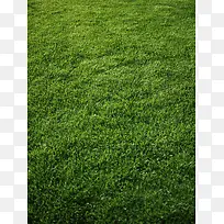 草坪摄影-空若网 草坪摄影-空若网