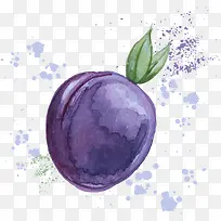 ʸÁ¿Ë®²ÊÀî×Ó-¿ÕÈôÍø ʸÁ¿Ë®²ÊÀî×Ó-¿ÕÈôÍø