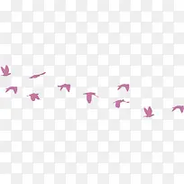 卡通手绘海鸥鸟-空若网 卡通手绘海鸥鸟-空若网