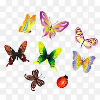 彩色蝴蝶-空若网 彩色蝴蝶-空若网