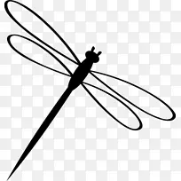 ����ڰ����ѱ�־������-����-������