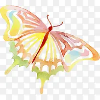 多彩美丽蝴蝶-空若网 多彩美丽蝴蝶-空若网