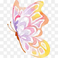 橙色手绘蝴蝶-空若网 橙色手绘蝴蝶-空若网