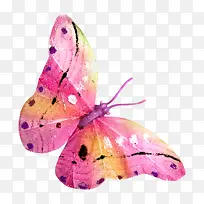 �ֻ��ɫ��������ز�-������