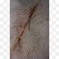 ǽ�����Ʊ���-������