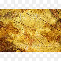 ǽ�����Ʊ���-������