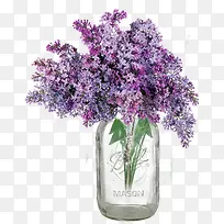 漂亮的紫色薰衣草植物-空若网 漂亮的紫色薰衣草植物-空若网