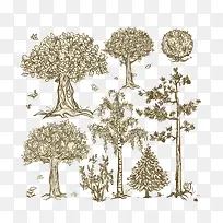 手绘树木-空若网 手绘树木-空若网