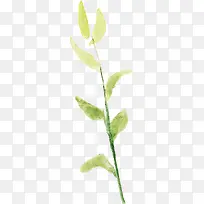 水彩枝叶-空若网 水彩枝叶-空若网