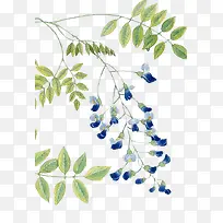 ˮ�ʻ���֦-������