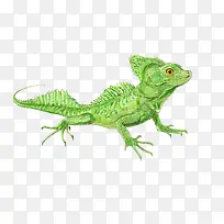 ��������-������