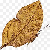 ʵ���Ҷ��-������