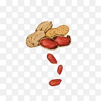 花生手绘免扣素材-空若网 花生手绘免扣素材-空若网