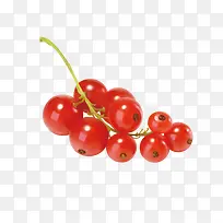 水果-空若网 水果-空若网