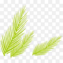 绿色棕榈叶-空若网 绿色棕榈叶-空若网