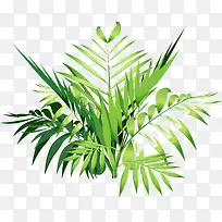 ��ɫҶ��-������