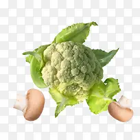 厨房花菜素材-空若网 厨房花菜素材-空若网