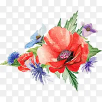 Ë®²Ê»¨»Ü-¿ÕÈôÍø Ë®²Ê»¨»Ü-¿ÕÈôÍø