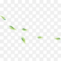 绿色树叶漂浮-空若网 绿色树叶漂浮-空若网