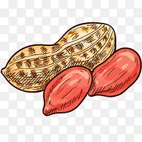 红皮花生矢量插画-空若网 红皮花生矢量插画-空若网