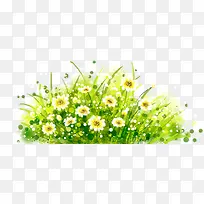 一丛草与花朵-空若网 一丛草与花朵-空若网