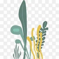 ���纣���ն�ʺ���-������