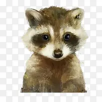 卡通可爱狸猫-空若网 卡通可爱狸猫-空若网