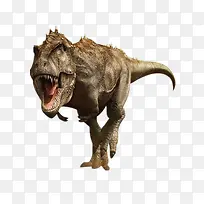 恐龙-空若网 恐龙-空若网