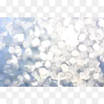 ˮ����Ƭ ���-������