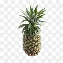 菠萝水果元素-空若网 菠萝水果元素-空若网