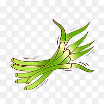 蒜台 蔬菜 有机蔬菜 手绘 生食-空若网 蒜台 蔬菜 有机蔬菜 手绘 生食-空若网